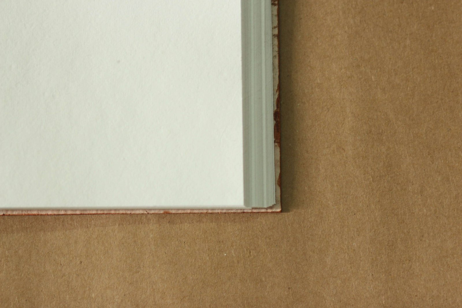 Diary - Image 4